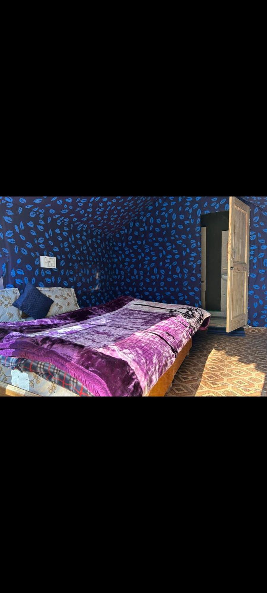 Negi Hill View Camping &Caffe كاسول المظهر الخارجي الصورة